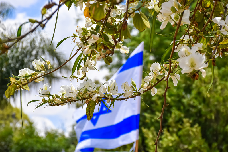 israeli flag Spring